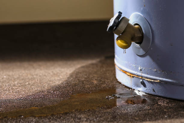 Best Residential water damage restoration  in Whitehall, OH