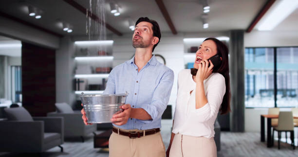 Best 24-hour water damage restoration  in Whitehall, OH